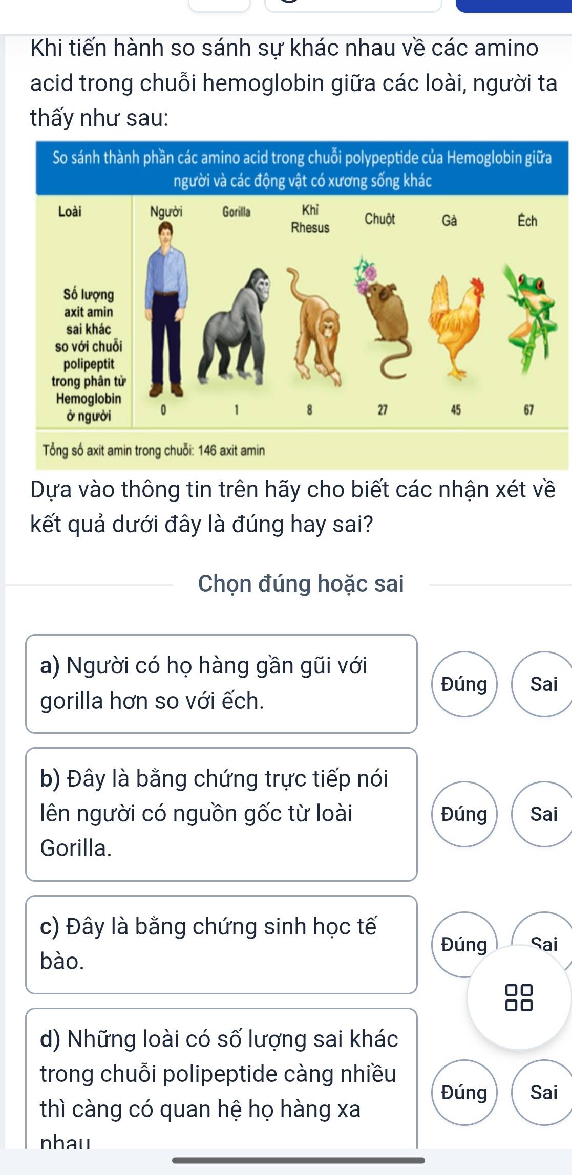 Khi tiến hành so sánh sự khác nhau về các amino
acid trong chuỗi hemoglobin giữa các loài, người ta
thấy như sau:
So sánh thành phần các amino acid trong chuỗi polypeptide của Hemoglobin giữa
người và các động vật có xương sống khác
Tổng số axit amin trong chuỗi: 146 axit amin
Dựa vào thông tin trên hãy cho biết các nhận xét về
kết quả dưới đây là đúng hay sai?
Chọn đúng hoặc sai
a) Người có họ hàng gần gũi với
Đúng Sai
gorilla hơn so với ếch.
b) Đây là bằng chứng trực tiếp nói
ên người có nguồn gốc từ loài Đúng Sai
Gorilla.
c) Đây là bằng chứng sinh học tế
Đúng Sai
bào.
d) Những loài có số lượng sai khác
trong chuỗi polipeptide càng nhiều
Đúng Sai
thì càng có quan hệ họ hàng xa
nhau