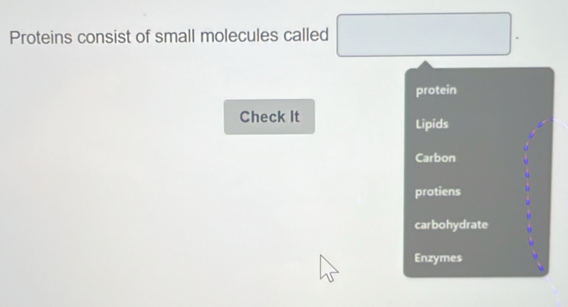 Proteins consist of small molecules called □. 
protein 
Check It 
Lipids 
Carbon 
protiens 
carbohydrate 
Enzymes