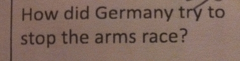 How did Germany try to 
stop the arms race?