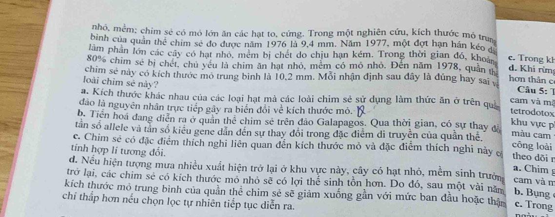 nhỏ, mềm; chim sẻ có mỏ lớn ăn các hạt to, cứng. Trong một nghiên cứu, kích thước mỏ trung
bình của quần thể chim sẻ đo được năm 1976 là 9,4 mm. Năm 1977, một đợt hạn hán kéo đá
làm phần lớn các cây có hạt nhỏ, mềm bị chết do chịu hạn kém. Trong thời gian đó, khoản c. Trong kh
80% chim sẻ bị chết, chủ yếu là chim ăn hạt nhỏ, mềm có mỏ nhỏ. Đến năm 1978, quần thể hơn thân c
d. Khí rừng
chim sẻ này có kích thước mỏ trung bình là 10,2 mm. Mỗi nhận định sau đây là đúng hay sai và  Câu 5: T
loài chim sẻ này?
a. Kích thước khác nhau của các loại hạt mà các loài chim sẻ sử dụng làm thức ăn ở trên quả cam và mã
dảo là nguyên nhân trực tiếp gây ra biến đổi về kích thước mỏ.
tetrodotox
b. Tiến hoá đang diễn ra ở quân thể chim sẻ trên đảo Galapagos. Qua thời gian, có sự thay đồ màu cam
khu vực p
tần số allele và tần số kiểu gene dẫn đến sự thay đổi trong đặc điểm di truyền của quần thể.
công loài
c. Chim sẻ có đặc điểm thích nghi liên quan đến kích thước mỏ và đặc điểm thích nghi này có theo dõir
tính hợp lí tương đổi.
a. Chim g
d. Nếu hiện tượng mưa nhiều xuất hiện trở lại ở khu vực này, cây có hạt nhỏ, mềm sinh trưởng cam và m
trở lại, các chim sẻ có kích thước mỏ nhỏ sẽ có lợi thế sinh tồn hơn. Do đó, sau một vài năm
kích thước mô trung bình của quần thể chim sẻ sẽ giảm xuống gần với mức ban đầu hoặc thậm b. Bụng
chí thấp hơn nếu chọn lọc tự nhiên tiếp tục diễn ra.
c. Trong