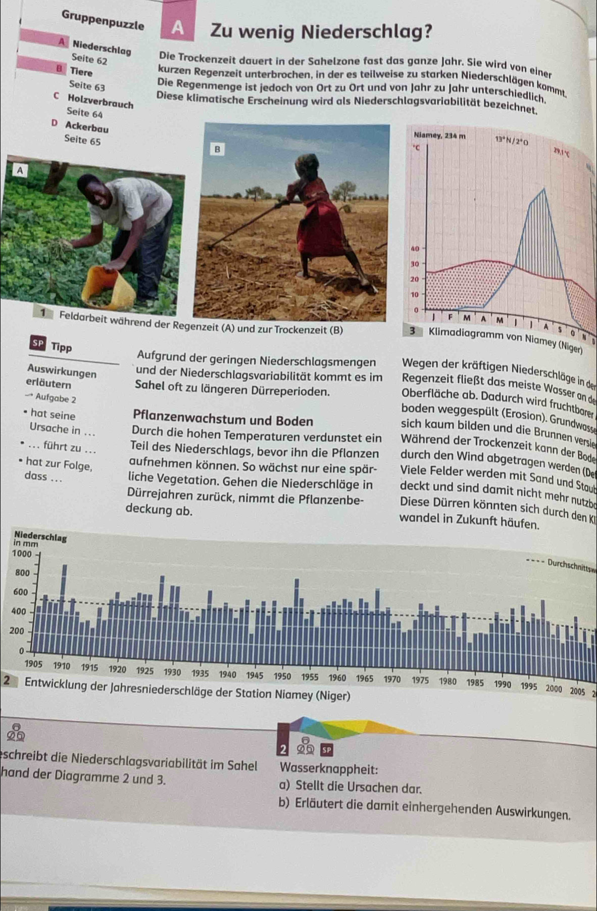 Gruppenpuzzle A Zu wenig Niederschlag?
A Niederschlag
Seite 62
Die Trockenzeit dauert in der Sahelzone fast das ganze Jahr. Sie wird von einer
Tiere
kurzen Regenzeit unterbrochen, in der es teilweise zu starken Niederschlägen kommt.
Seite 63
Die Regenmenge ist jedoch von Ort zu Ort und von Jahr zu Jahr unterschiedlich.
C Holzverbrauch
Diese klimatische Erscheinung wird als Niederschlagsvariabilität bezeichnet.
Seite 64
D Ackerbau
Seite 65
it während der Reg) und zur Trockenzeit (B)
SP Tipp
Aufgrund der geringen Niederschlagsmengen  Wegen der kräftigen Niederschläge in der
Auswirkungen
und der Niederschlagsvariabilität kommt es im  Regenzeit fließt das meiste Wasser an de
erläutern Sahel oft zu längeren Dürreperioden.
Oberfläche ab. Dadurch wird fruchtbaren
boden weggespült (Erosion). Grundwass
hat seine Pflanzenwachstum und Boden
→ Aufgabe 2 Während der Trockenzeit kann der Bode
Ursache in ... Durch die hohen Temperaturen verdunstet ein
sich kaum bilden und die Brunnen versie
Teil des Niederschlags, bevor ihn die Pflanzen durch den Wind abgetragen werden (De
aufnehmen können. So wächst nur eine spär- Viele Felder werden mit Sand und Staul
.. führt zu ... deckt und sind damit nicht mehr nutzbe
dass ...
liche Vegetation. Gehen die Niederschläge in
• hat zur Folge,  Diese Dürren könnten sich durch den KI
Dürrejahren zurück, nimmt die Pflanzenbe-
deckung ab.
wandel in Zukunft häufen.
==== Durchschnittsw
2000 2005 2
2 Entwicklung der Jahresniederschläge der Station Niamey (Niger)
2
eschreibt die Niederschlagsvariabilität im Sahel Wasserknappheit:
hand der Diagramme 2 und 3. a) Stellt die Ursachen dar.
b) Erläutert die damit einhergehenden Auswirkungen.