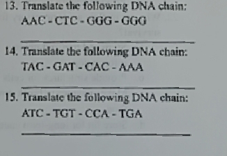 Translate the following DNA chain: 
AAC - CTC - GGG - GGG 
_ 
14. Translate the following DNA chain: 
TAC - GAT - CAC - AAA 
_ 
15. Translate the following DNA chain: 
ATC - TGT - CCA - TGA 
_