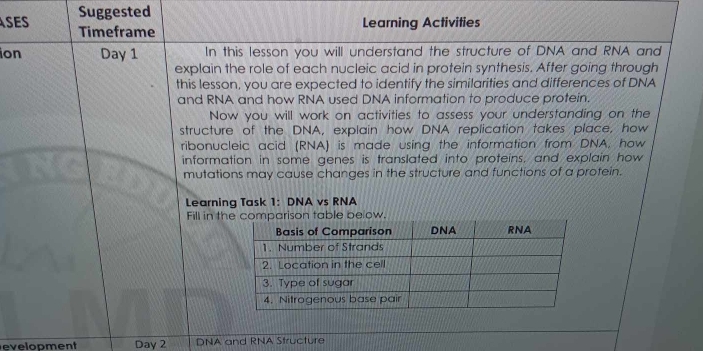 Suggested 
ASES Timeframe 
Learning Activities 
ion Day 1 In this lesson you will understand the structure of DNA and RNA and 
explain the role of each nucleic acid in protein synthesis. After going through 
this lesson, you are expected to identify the similarities and differences of DNA 
and RNA and how RNA used DNA information to produce protein. 
Now you will work on activities to assess your understanding on the 
structure of the DNA, explain how DNA replication takes place, how 
ribonucleic acid (RNA) is made using the information from DNA, how 
information in some genes is translated into proteins, and explain how 
mutations may cause changes in the structure and functions of a protein. 
Learning Task 1: DNA vs RNA 
Fill in the comparison table be ow. 
evelopment Day 2 DNA and RNA Structure