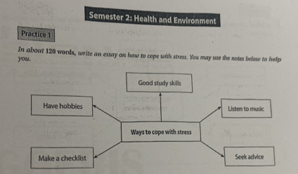 Semester 2: Health and Environment 
Practice 1 
In about 120 words, write an essay on how to cope with stress. You may use the notes below to help 
you.