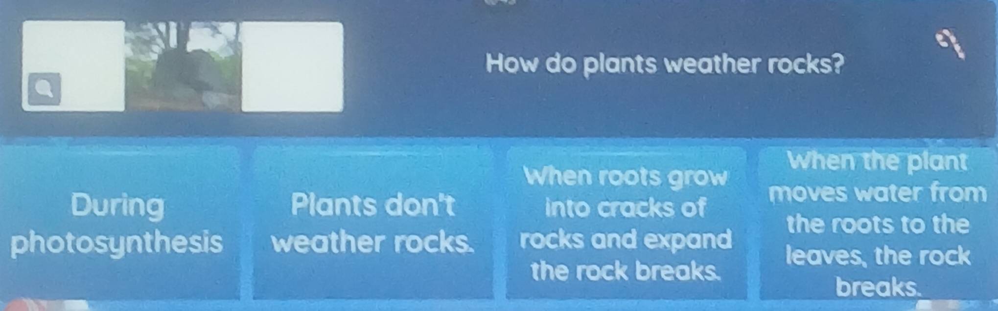 Solved: How do plants weather rocks? a When the plant When roots grow ...
