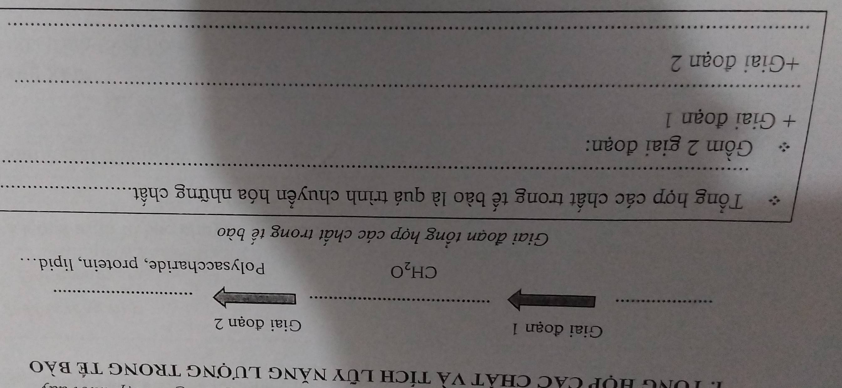 TUng Hợp các chất và tích lũy năng lượng trong tế bào 
Giai đoạn 1 Giai đoạn 2 
_ 
_ 
_ 
CH_2O Polysaccharide, protein, lipid... 
Giai đoạn tổng hợp các chất trong tế bào 
Tổng hợp các chất trong tế bào là quá trình chuyển hóa những chất._ 
_ 
_ 
Gồm 2 giai đoạn: 
+ Giai đoạn 1 
_ 
_ 
+Giai đoạn 2 
__