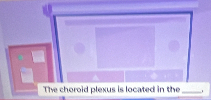 The choroid plexus is located in the_ .