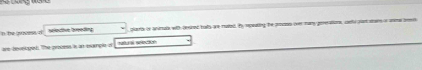 the process of selective breeding , plants or animals with desited traits are mated. By regeating the process over many generations, useful plant staims or ammal treed 
are develoged!. The process is an example of natural seleciión