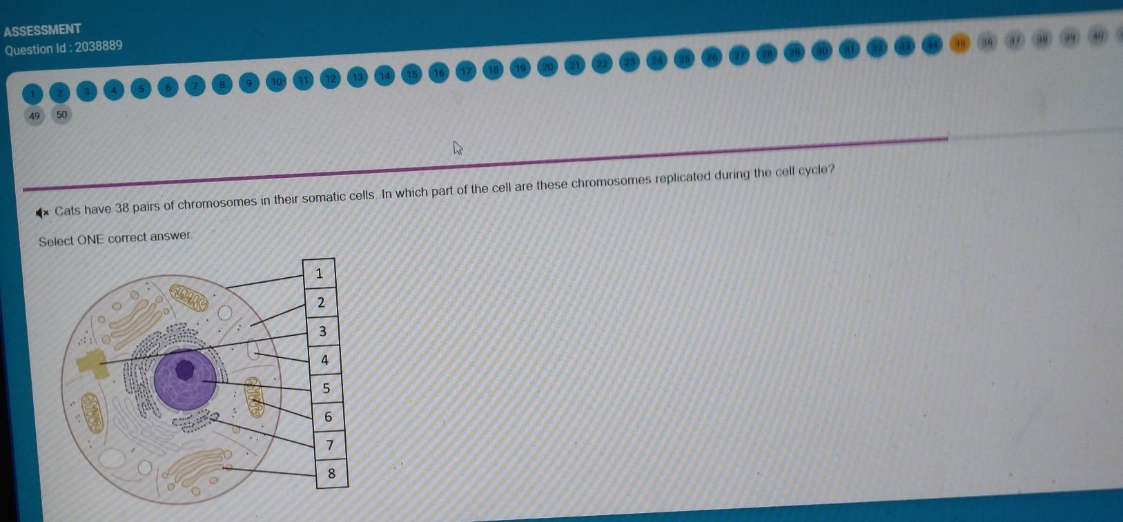 ASSESSMENT 
Question Id : 2038889 
49 50 
Cats have 38 pairs of chromosomes in their somatic cells. In which part of the cell are these chromosomes replicated during the cell cycle? 
Select ONE correct answer