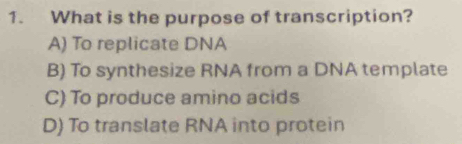 What is the purpose of transcription?
A) To replicate DNA
B) To synthesize RNA from a DNA template
C) To produce amino acids
D) To translate RNA into protein