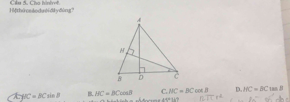 Cho hìnhvë.
Hệthứ cnàodướidâyđúng?
A. HC=BCsin B B. HC=BCcos B C. HC=BCcot B D. HC=BCtan B
sódo cug 45°la