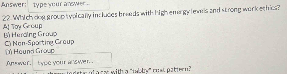 Answer: type your answer...
22. Which dog group typically includes breeds with high energy levels and strong work ethics?
A) Toy Group
B) Herding Group
C) Non-Sporting Group
D) Hound Group
Answer: type your answer...
eristic of a cat with a "tabby" coat pattern?