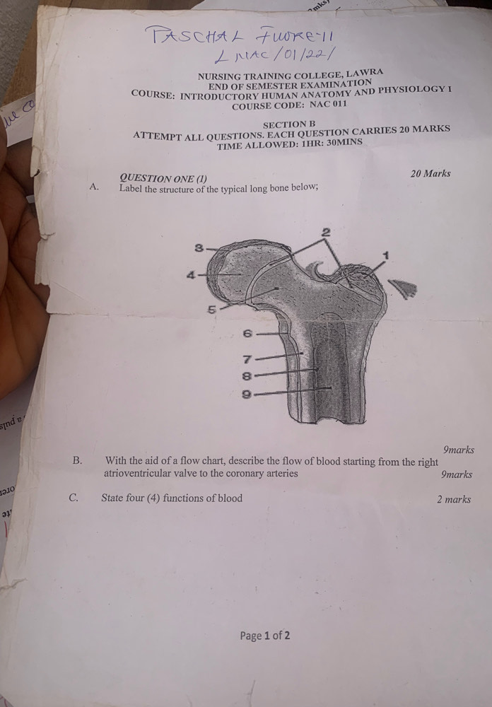 NURSING TRAINING COLLEGE, LAWRA 
END OF SEMESTER EXAMINATION 
COURSE: INTRODUCTORY HUMAN ANATOMY AND PHYSIOLOGY I 
COURSE CODE: NAC 011 
SECTION B 
ATTEMPT ALL QUESTIONS. EACH QUESTION CARRIES 20 MARKS 
TIME ALLOWED: 1HR: 30MINS 
QUESTION ONE (1) 20 Marks 
A. Label the structure of the typical long bone below; 
ịnd v 
9marks 
B. With the aid of a flow chart, describe the flow of blood starting from the right 
atrioventricular valve to the coronary arteries 9marks 
1010º 
C. State four (4) functions of blood 2 marks 
Page 1 of 2