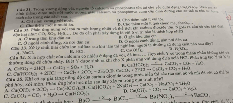 Trong xương động vật, nguyên tố calcium và phosphorus tồn tại chủ yếu dưới dạng Ca_3(PO_4)_2 , Theo em de
ninh (hầm) được một nổi nước xương giàu calcium và phosphorus cung cấp dinh dưỡng cho cơ thể ta nên sử dụng
cách nào trong các cách sau:
A. Chỉ ninh xương với nước. B. Cho thêm một ít vôi tôi.
C. Cho thêm một ít muối ăn. D. Cho thêm một ít quả chua: me, chanh,...
Câu 32. Phản ứng nung vôi toả ra một lượng nhiệt và thể tích khí carbon dioxide lớn. Ngoài ra còn có các khí thải
độc hại như: CO,SO_2,H_2S. Do đó cần phải xây dựng lò yôi ở vị trí nào là thích hợp nhất?
A. Ở trung tâm khu dân cư. B. Ở gần khu dân cư.
C. Ở ngoài cánh đồng, xa nơi dân cư. D. Ở ngoài cánh đồng, gần nơi dân cư.
Câu 33. Xử lý chất thải chứa ion sulfate sau khi làm thí nghiệm, người ta thường sử dụng chất nào sau đây?
A. NaCl. B. HCl. C. Ca(OH)_2. D. H_2SO_4.
Câu 34. X là hợp chất của calcium có nhiều ở dạng đá vôi, đá hoa, ... Hợp chất Y có trong thành phần không khí và
thường dùng để chữa cháy. Biết Y được sinh ra khi cho X phản ứng với dung dịch acid HCl. Phản ứng tạo Y từ X là
C. Ca(HCO_3)_2+2HClto CaCl_2+2CO_2+2H_2O.D.CaCO_3+2HClto CaCl_2+CO_2+H_2O. CaSO_3+2HClto CaCl_2+SO_2+H_2O. B. Ca(HCO_3)_2xrightarrow t°CaCO_3+CO_2+H_2O.
A.
Câu 35. Khi có sự gia tăng nồng độ của carbon dioxide trong nước biển thì các rạn san hồ và núi đá vôi có thể bị
phá hủy, xói mòn. Phản ứng hóa học nào sau đây xảy ra trong quá trình trên?
A. Ca(OH)_2+2CO_2to Ca(HCO_3)_2.B.Ca(HCO_3)_2+2NaOHto CaCO_3+Na_2CO_3+2H_2O. D. Ca(OH)_2+CO_2to CaCO_3+H_2O.
C. CaCO_3+CO_2+H_2Oto Ca(HCO_3)_2. BaOto BaCl_2to Ba(NO_3)_2to )_2BaCO_3 ng  ứng  Các chất X. Y 
chuyền hóa