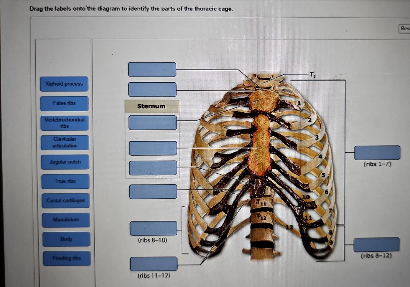 Solved: Drag the labels onto the diagram to identify the parts of the ...