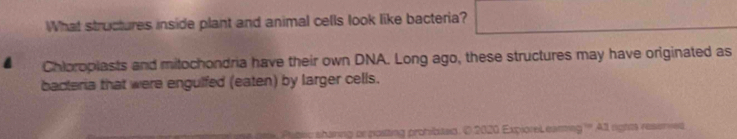 What structures inside plant and animal cells look like bacteria? 
Chloroplasts and mitochondria have their own DNA. Long ago, these structures may have originated as 
bacteria that were engulfed (eaten) by larger cells. 
ted. O 2020 Expiorel eaning ''' Al rights resered