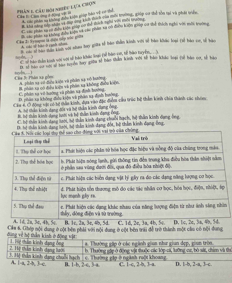 phản 1. câu hỏi nhiều lựa chọn
Câu 1: Cảm ứng ở động vật là
A. các phản xạ không điều kiện giúp bảo vệ cơ thể.
B. khả năng tiếp nhận và đáp ứng kích thích của môi trường, giúp cơ thể tồn tại và phát triển.
C. các phản xạ có điều kiện giúp cơ thể thích nghi với môi trường.
D. các phản xạ không điều kiện và các phản xạ có điều kiện giúp cơ thể thích nghi với môi trường.
Câu 2: Synapse là diện tiếp xúc giữa
B. các tế bảo thần kinh với nhau hay giữa tế bào thần kinh với tế bào khác loại (tế bào cơ, tế bảo
A. các tế bào ở cạnh nhau.
tuyến,…)
C. tế bào thần kinh với với tế bào khác loại (tế bào cơ, tế bào tuyến,…).
D. tế bào cơ với tế bào tuyến hay giữa tế bào thần kinh với tế bào khác loại (tế bào cơ, tế bào
tuyến,…)
Câu 3: Phản xạ gồm:
A. phản xạ có điều kiện và phản xạ vô hướng.
B. phản xạ có điều kiện và phản xạ không điều kiện.
C. phản xạ vô hướng và phản xạ định hướng.
D. phản xạ không điều kiện và phản xạ định hướng.
Câu 4. Ở động vật có hệ thần kinh, dựa vào đặc điểm cấu trúc hệ thần kinh chia thành các nhóm:
A. hệ thần kinh dạng đốt và hệ thần kinh dạng ống.
B. hệ thần kinh dạng lưới và hệ thần kinh dạng ống.
C. hệ thần kinh dạng lưới, hệ thần kinh dạng chuỗi hạch, hệ thần kinh dạng ống.
D. hệ thần kinh dạng lưới, hệ thần kinh dạng đốt, hệ thần kinh dạng ống.
, 4b, 5d. C. 1d, 2e,
Câu 6. Ghép nội dung ở cột bên phải với nội dung ở cột bên trái để trở thành một câu có nội dung
đúng về hệ thần kinh ở động vật:
1. Hệ thần kinh dạng ống a. Thường gặp ở các ngành giun như giun dẹp, giun tròn.
2. Hệ thần kinh dạng lưới b. Thường gặp ở động vật thuộc các lớp cá, lưỡng cư, bò sát, chim và thứ
3. Hệ thần kinh dạng chuỗi hạch c. Thường gặp ở ngành ruột khoang.
A. 1-a, 2-b, 3-c. B. 1-b, 2-c, 3-a. C. 1-c, 2-b, 3-a. D. 1-b, 2-a, 3-c.