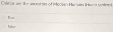 Chimps are the ancestors of Modern Humans (Homo sapiens).
True
False