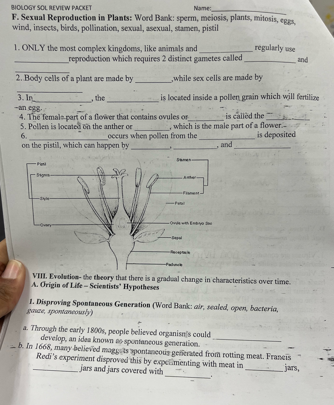 BIOLOGY SOL REVIEW PACKET Name:_ 
F. Sexual Reproduction in Plants: Word Bank: sperm, meiosis, plants, mitosis, eggs, 
wind, insects, birds, pollination, sexual, asexual, stamen, pistil 
1. ONLY the most complex kingdoms, like animals and _regularly use 
_reproduction which requires 2 distinct gametes called _and 
_ 
2. Body cells of a plant are made by _,while sex cells are made by 
_ 
3. In_ , the _is located inside a pollen grain which will fertilize 
an egg. 
4. The female part of a flower that contains ovules or_ is called the_ 
_ 
5. Pollen is located on the anther or , which is the male part of a flower.- 
6. _occurs when pollen from the _is deposited 
on the pistil, which can happen by __, and_ 
, 
VIII. Evolution- the theory that there is a gradual change in characteristics over time. 
A. Origin of Life - Scientists’ Hypotheses 
1. Disproving Spontaneous Generation (Word Bank: air, sealed, open, bacteria, 
gauze, spontaneously) 
a. Through the early 1800s, people believed organisn's could 
develop, an idea known as spontaneous generation._ 
b. In 1668, many believed maggets spontaneous generated from rotting meat. Francis 
Redi’s experiment disproved this by expenmenting with meat in 
_ 
_jars and jars covered with _jars,