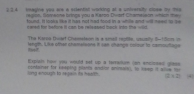 Imagine you are a scientist working at a university close by this 
region. Someone brings you a Karoo Dwarf Chameleon which they 
found. It looks like it has not had food in a while and will need to be 
cared for before it can be released back into the wild. 
The Karoo Dwarf Chameleon is a smail reptile, usually 8-15cm in 
length. Like other chameleons it can change colour to camouffage 
itself. 
Explain how you would set up a terrarium (an enclosed glass 
container for keeping plants and/or animals), to keep it alive for 
long enough to regain its health. (4)
(2* 2)