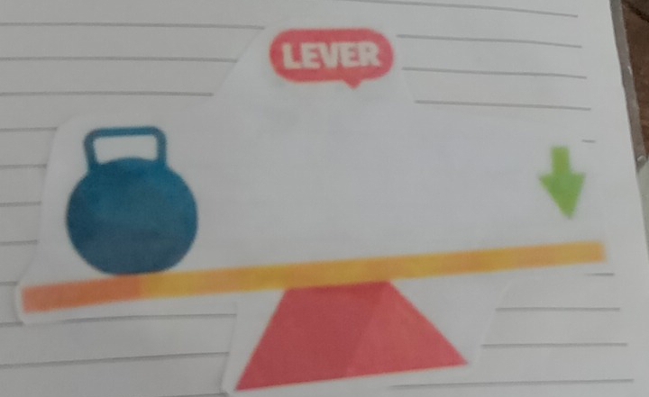 LEVER 
_ 
_ 
_ 
_ 
_ 
_ 
_