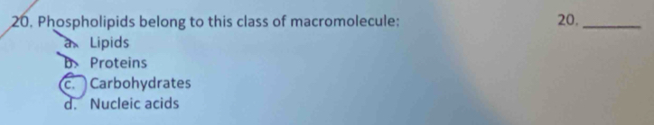 Phospholipids belong to this class of macromolecule: 20._
a Lipids
b. Proteins
c. Carbohydrates
d. Nucleic acids