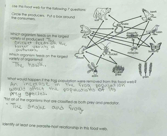 Use this food web for the following 7 
Circle the producers. Put a box aro 
the consumers. 
Which organism feeds on the largest 
variety of producers? 
Which organism feeds on the largest 
variety of organisms? 
What would happen if the frog popul from his food web? 
" List all of the organisms that are classified as both prey and predator. 
Identify at least one parasite-host relationship in this food web.