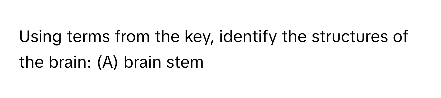 Using terms from the key, identify the structures of the brain: (A) brain stem