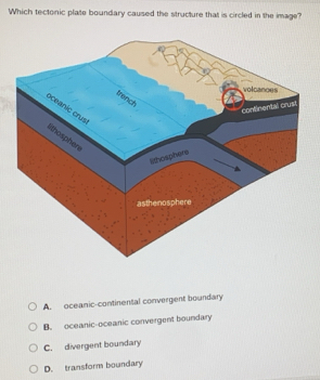 Which tectonic plate boundary caused the structure that is circled in the image?
A. oceanic-continental convergent boundary
B. oceanic-oceanic convergent boundary
C. divergent boundary
D. transform boundary