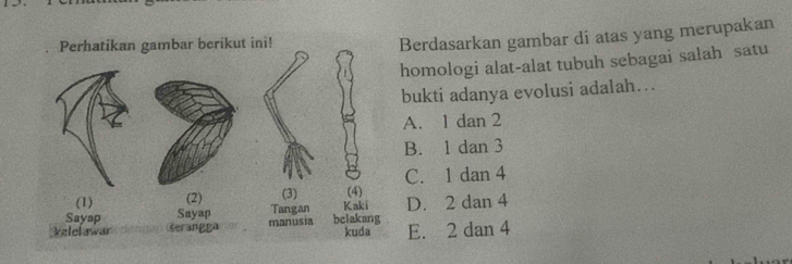 Perhatikan gambar berikut ini!
Berdasarkan gambar di atas yang merupakan
homologi alat-alat tubuh sebagai salah satu
bukti adanya evolusi adalah….
A. 1 dan 2
B. 1 dan 3
C. 1 dan 4
(1) (2) (3) (4)
Sayap Sayap Tangan Kaki D. 2 dan 4
Velelawar serangga manusia belakang kuda E. 2 dan 4