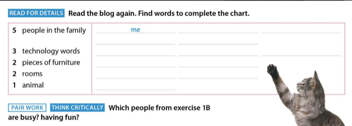 READ FOR DETAILS Read the blog again. Find words to complete the chart. 
PAIR WORK THINK CRITICALLY Which people from exercise 1B 
are busy? having fun?