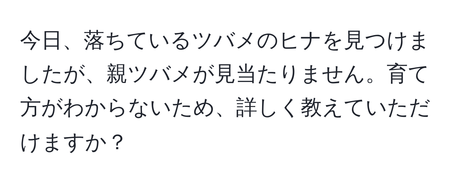 今日、落ちているツバメのヒナを見つけましたが、親ツバメが見当たりません。育て方がわからないため、詳しく教えていただけますか？