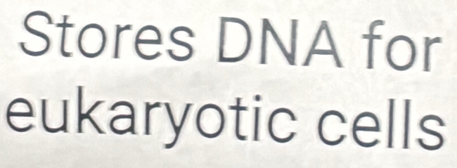 Stores DNA for 
eukaryotic cells