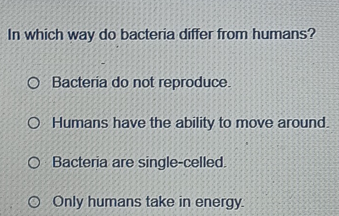 In which way do bacteria differ from humans?
Bacteria do not reproduce
Humans have the ability to move around.
Bacteria are single-celled.
Only humans take in energy.