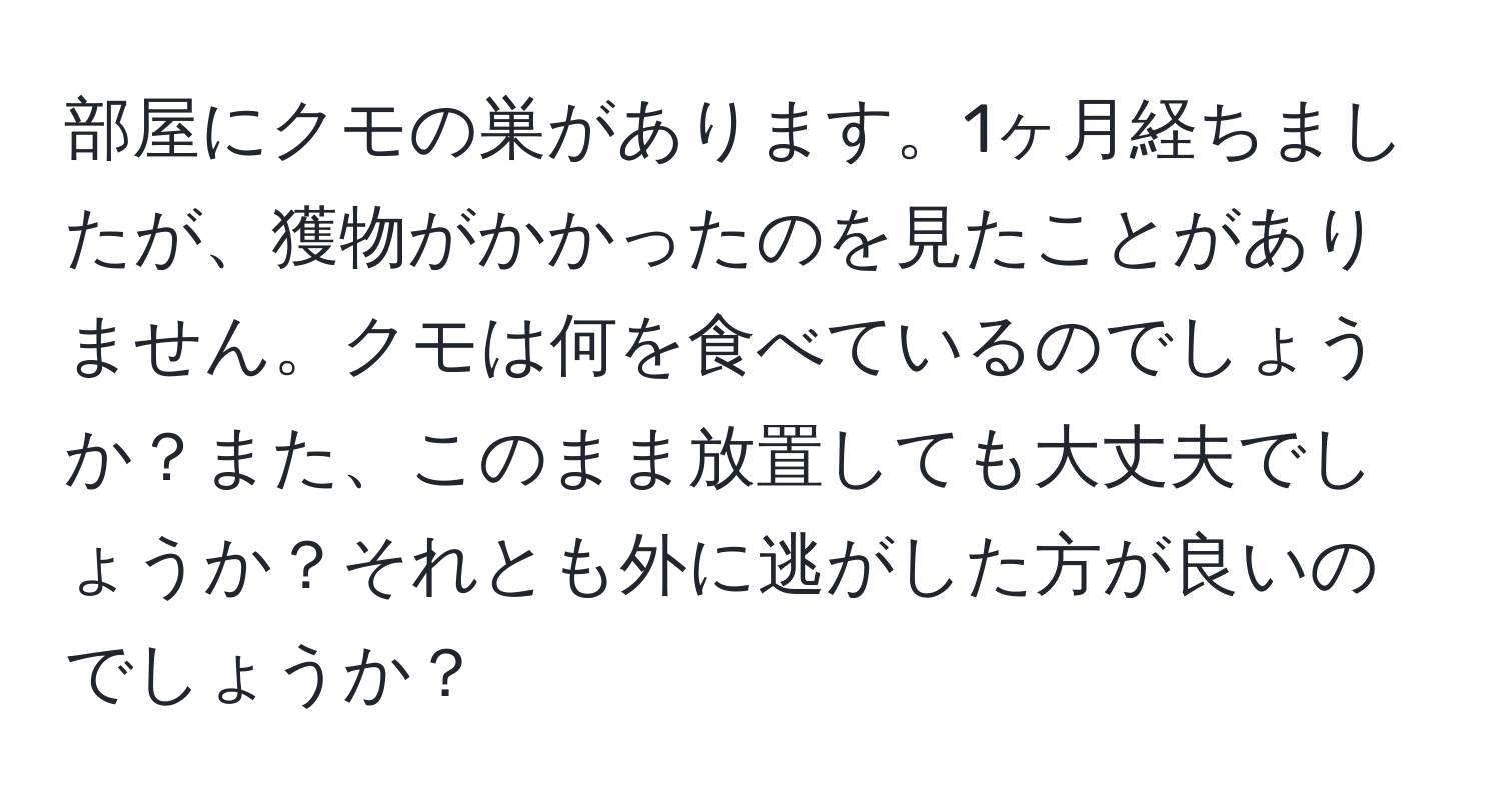 部屋にクモの巣があります。1ヶ月経ちましたが、獲物がかかったのを見たことがありません。クモは何を食べているのでしょうか？また、このまま放置しても大丈夫でしょうか？それとも外に逃がした方が良いのでしょうか？