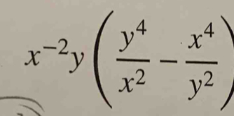 x^(-2)y( y^4/x^2 - x^4/y^2 )