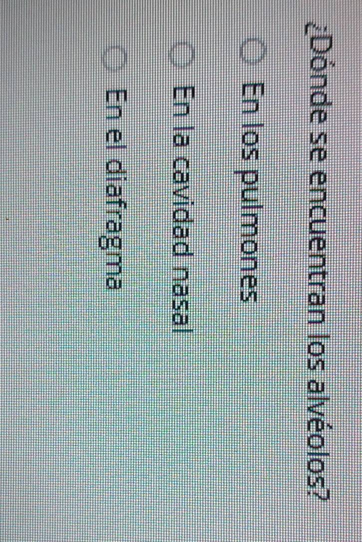 ¿Dónde se encuentran los alvéolos?
En los pulmones
En la cavidad nasal
En el diafragma