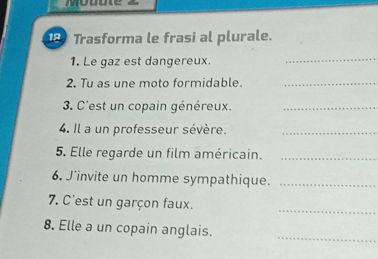 Trasforma le frasi al plurale. 
1. Le gaz est dangereux. 
_ 
2. Tu as une moto formidable._ 
3. C'est un copain généreux._ 
4. Il a un professeur sévère._ 
5. Elle regarde un film américain._ 
6. J'invite un homme sympathique._ 
_ 
7. C'est un garçon faux. 
_ 
8. Elle a un copain anglais.