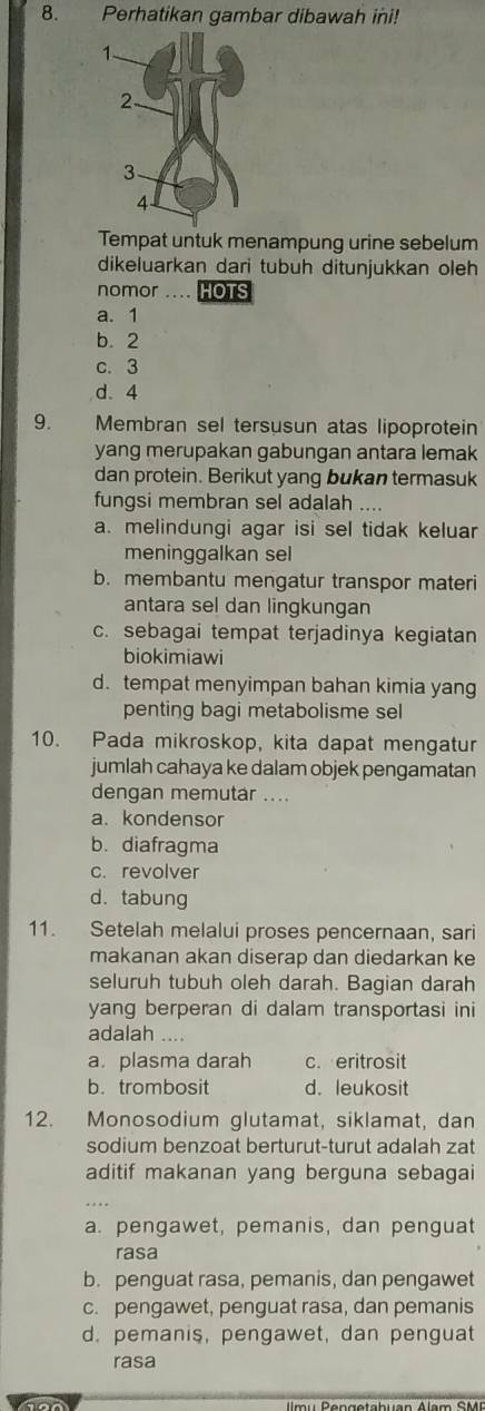 Perhatikan gambar dibawah ini!
Tempat untuk menampung urine sebelum
dikeluarkan dari tubuh ditunjukkan oleh
nomor … HOTS
a. 1
b. 2
c. 3
d. 4
9. Membran sel tersusun atas lipoprotein
yang merupakan gabungan antara lemak
dan protein. Berikut yang bukan termasuk
fungsi membran sel adalah ....
a. melindungi agar isi sel tidak keluar
meninggalkan sel
b. membantu mengatur transpor materi
antara sel dan lingkungan
c. sebagai tempat terjadinya kegiatan
biokimiawi
d. tempat menyimpan bahan kimia yang
penting bagi metabolisme sel
10. Pada mikroskop, kita dapat mengatur
jumlah cahaya ke dalam objek pengamatan
dengan memutar ....
a. kondensor
b. diafragma
c. revolver
d. tabung
11. Setelah melalui proses pencernaan, sari
makanan akan diserap dan diedarkan ke
seluruh tubuh oleh darah. Bagian darah
yang berperan di dalam transportasi ini
adalah ....
a. plasma darah c. eritrosit
b. trombosit d. leukosit
12. Monosodium glutamat, siklamat, dan
sodium benzoat berturut-turut adalah zat
aditif makanan yang berguna sebagai
a. pengawet, pemanis, dan penguat
rasa
b. penguat rasa, pemanis, dan pengawet
c. pengawet, penguat rasa, dan pemanis
d. pemanis, pengawet, dan penguat
rasa
m u Pengeta h uan A la m SM