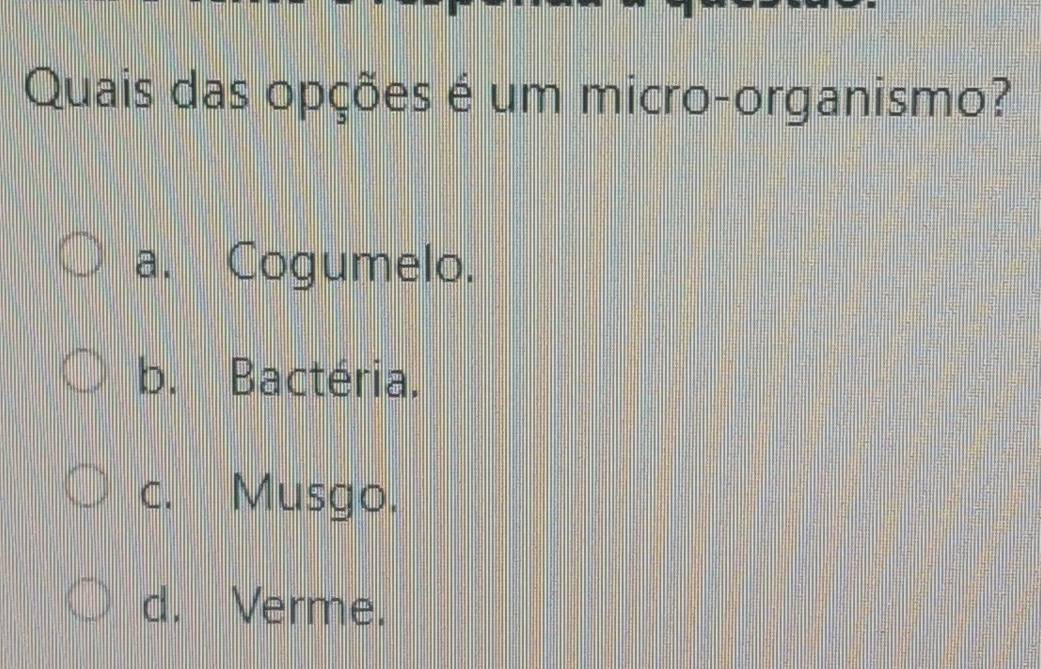 Quais das opções é um micro-organismo?
a. Cogumelo.
b. Bactéria.
c. Musgo.
d. Verme.