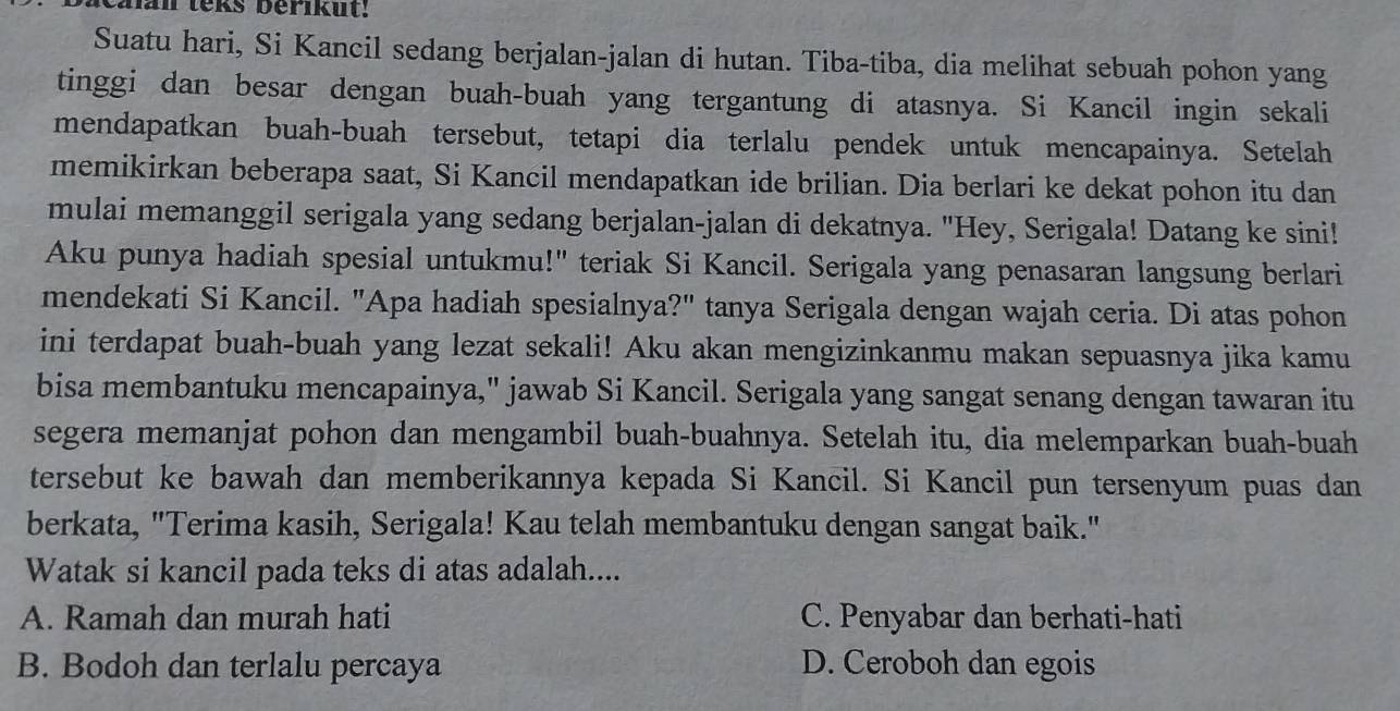 taan teks berikut!
Suatu hari, Si Kancil sedang berjalan-jalan di hutan. Tiba-tiba, dia melihat sebuah pohon yang
tinggi dan besar dengan buah-buah yang tergantung di atasnya. Si Kancil ingin sekali
mendapatkan buah-buah tersebut, tetapi dia terlalu pendek untuk mencapainya. Setelah
memikirkan beberapa saat, Si Kancil mendapatkan ide brilian. Dia berlari ke dekat pohon itu dan
mulai memanggil serigala yang sedang berjalan-jalan di dekatnya. "Hey, Serigala! Datang ke sini!
Aku punya hadiah spesial untukmu!" teriak Si Kancil. Serigala yang penasaran langsung berlari
mendekati Si Kancil. "Apa hadiah spesialnya?" tanya Serigala dengan wajah ceria. Di atas pohon
ini terdapat buah-buah yang lezat sekali! Aku akan mengizinkanmu makan sepuasnya jika kamu
bisa membantuku mencapainya," jawab Si Kancil. Serigala yang sangat senang dengan tawaran itu
segera memanjat pohon dan mengambil buah-buahnya. Setelah itu, dia melemparkan buah-buah
tersebut ke bawah dan memberikannya kepada Si Kancil. Si Kancil pun tersenyum puas dan
berkata, "Terima kasih, Serigala! Kau telah membantuku dengan sangat baik."
Watak si kancil pada teks di atas adalah....
A. Ramah dan murah hati C. Penyabar dan berhati-hati
B. Bodoh dan terlalu percaya D. Ceroboh dan egois