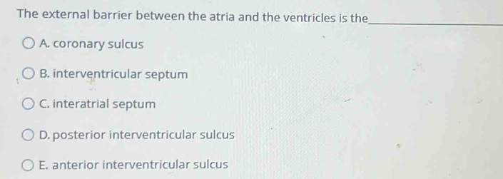 The external barrier between the atria and the ventricles is the
_
A. coronary sulcus
B. interventricular septum
C. interatrial septum
D. posterior interventricular sulcus
E. anterior interventricular sulcus