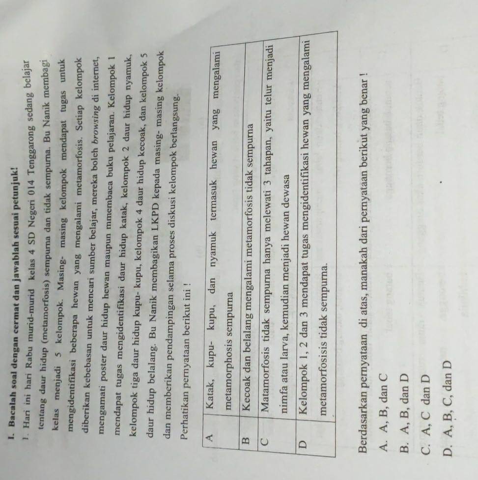 Bacalah soal dengan cermat dan jawablah sesuai petunjuk!
1. Hari ini hari Rabu murid-murid kelas 4 SD Negeri 014 Tenggarong sedang belajar
tentang daur hidup (metamorfosis) sempurna dan tidak sempurna. Bu Nanik membagi
kelas menjadi 5 kelompok. Masing- masing kelompok mendapat tugas untuk
mengidentifikasi beberapa hewan yang mengalami metamorfosis. Setiap kelompok
diberikan kebebasan untuk mencari sumber belajar, mereka boleh browsing di internet,
mengamati poster daur hidup hewan maupun mmembaca buku pelajaran. Kelompok l
mendapat tugas mengidentifikasi daur hidup katak, kelompok 2 daur hidup nyamuk,
kelompok tiga daur hidup kupu- kupu, kelompok 4 daur hidup kecoak, dan kelompok 5
daur hidup belalang. Bu Nanik membagikan LKPD kepada masing- masing kelompok
dan memberikan pendampingan selama proses diskusi kelompok berlangsung.
Perhatikan pernyataan berikut ini !
Berdasarkan pernyataan di atas, manakah dari pernyataan berikut yang benar !
A. A, B, dan C
B. A, B, dan D
C. A, C dan D
D. A, B, C, dan D