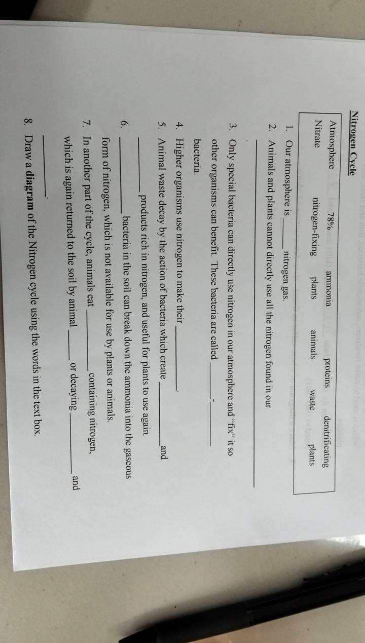 Nitrogen Cycle 
Atmosphere 78% ammonia proteins denitrificating 
Nitrate nitrogen-fixing plants animals waste plants 
1. Our atmosphere is_ nitrogen gas. 
2. Animals and plants cannot directly use all the nitrogen found in our 
_ 
3. Only special bacteria can directly use nitrogen in our atmosphere and “fix” it so 
other organisms can benefit. These bacteria are called_ 
_ 
bacteria. 
4. Higher organisms use nitrogen to make their_ 
5. Animal waste decay by the action of bacteria which create _and 
_products rich in nitrogen, and useful for plants to use again. 
6. _bacteria in the soil can break down the ammonia into the gaseous 
form of nitrogen, which is not available for use by plants or animals. 
7. In another part of the cycle, animals eat _containing nitrogen, 
which is again returned to the soil by animal _or decaying_ 
and 
_ 
. 
8. Draw a diagram of the Nitrogen cycle using the words in the text box.