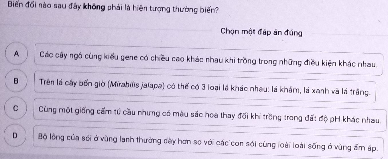 Biến đối nào sau đây không phải là hiện tượng thường biến?
Chọn một đáp án đúng
A Các cây ngô cùng kiểu gene có chiều cao khác nhau khi trồng trong những điều kiện khác nhau.
B Trên lá cây bốn giờ (Mirabilis jalapa) có thể có 3 loại lá khác nhau: lá khảm, lá xanh và lá trắng.
C Cùng một giống cẩm tú cầu nhưng có màu sắc hoa thay đổi khi trồng trong đất độ pH khác nhau.
D Bộ lông của sói ở vùng lạnh thường dày hơn so với các con sói cùng loài loài sống ở vùng ấm áp.