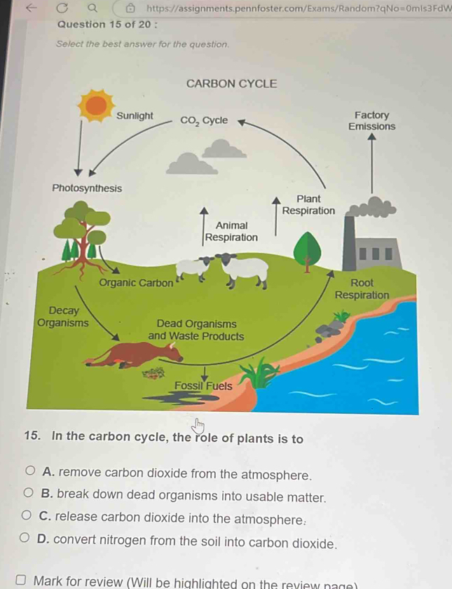 Select the best answer for the question.
CARBON CYCLE
15. In the carbon cycle, the role of plants is to
A. remove carbon dioxide from the atmosphere.
B. break down dead organisms into usable matter.
C. release carbon dioxide into the atmosphere.
D. convert nitrogen from the soil into carbon dioxide.
Mark for review (Will be highlighted on the review page)