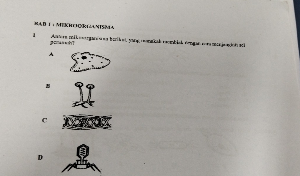 BAB 1 : MIKROORGANISMA
1 Antara mikroorganisma berikut, yang manakah membiak dengan cara menjangkiti sel
perumah?
A
B
C
D