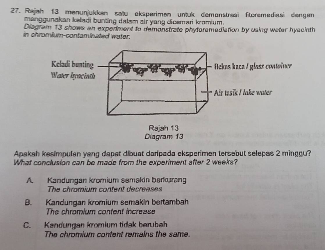 Rajah 13 menunjukkan satu eksperimen untuk demonstrasi fitoremediasi dengan
menggunakan keladi bunting dalam air yang dicemari kromium.
Diagram 13 shows an experiment to demonstrate phytoremediation by using water hyacinth
in chromium-contaminated water.
Apakah kesimpulan yang dapat dibuat daripada eksperimen tersebut selepas 2 minggu?
What conclusion can be made from the experiment after 2 weeks?
A. Kandungan kromium semakin berkurang
The chromium content decreases
B. Kandungan kromium semakin bertambah
The chromium content increase
C. Kandungan kromium tidak berubah
The chromium content remains the same.