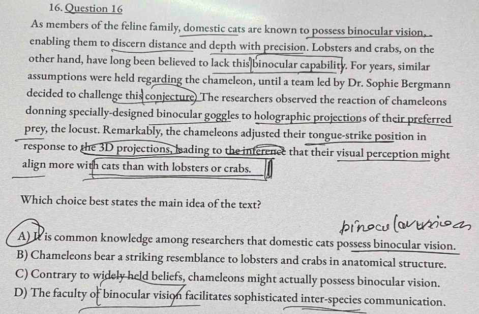 As members of the feline family, domestic cats are known to possess binocular vision,
enabling them to discern distance and depth with precision. Lobsters and crabs, on the
other hand, have long been believed to lack this binocular capability. For years, similar
assumptions were held regarding the chameleon, until a team led by Dr. Sophie Bergmann
decided to challenge this conjecture) The researchers observed the reaction of chameleons
donning specially-designed binocular goggles to holographic projections of their preferred
prey, the locust. Remarkably, the chameleons adjusted their tongue-strike position in
response to the 3D projections, leading to the inference that their visual perception might
align more with cats than with lobsters or crabs.
Which choice best states the main idea of the text?
A) It is common knowledge among researchers that domestic cats possess binocular vision.
B) Chameleons bear a striking resemblance to lobsters and crabs in anatomical structure.
C) Contrary to widely held beliefs, chameleons might actually possess binocular vision.
D) The faculty of binocular vision facilitates sophisticated inter-species communication.