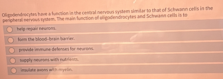 Oligodendrocytes have a function in the central nervous system similar to that of Schwann cells in the
peripheral nervous system. The main function of oligodendrocytes and Schwann cells is to
help repair neurons.
form the blood-brain barrier.
provide immune defenses for neurons.
supply neurons with nutrients.
insulate axons with myelin.